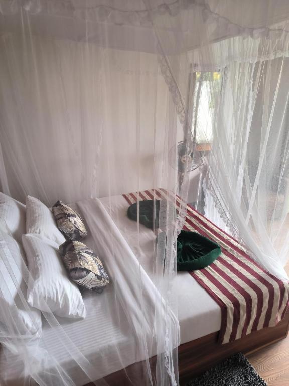Slon White Elephant Procida Dış mekan fotoğraf